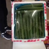 黄瓜