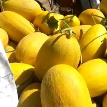 大量现货