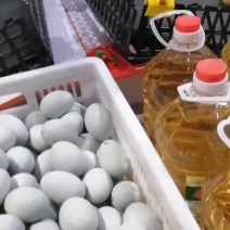微山湖特大松花蛋量大从优