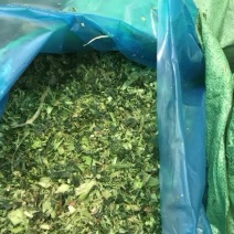 玉米青储