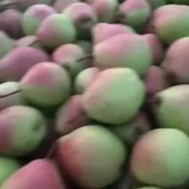 七月红梨云霞果品，云霞果品