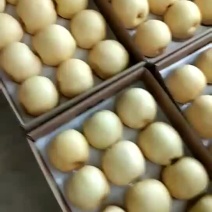 黄金梨自己种植的，量大从优，博望坡黄金梨