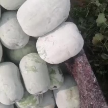 33一串玲冬瓜质量好，没有畸形，货源充足。