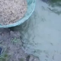 太湖二号