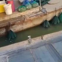 二两五公