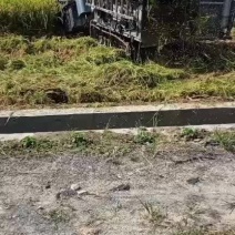 稻谷