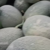 大量现货