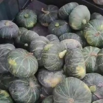 甘肃精美板栗南瓜
