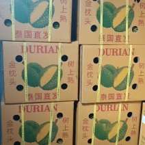 榴莲金枕