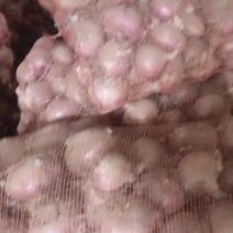 本合作社是一个粮食，蔬菜，产，供销一体化的知名企业