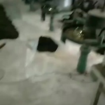 感谢老总们下单新鲜茶叶