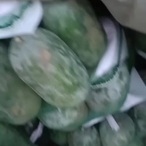 冬瓜大量上市了质量好，价格低。货原充足。