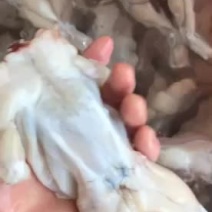 你们看就知道了，这是单冻货解冻出来的货，质量有保证放心用