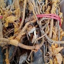 野生九层皮，川破石，黄蛇根，山荔枝，千层皮统货