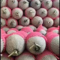 大量现货，致富好帮手
