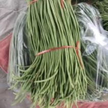 蔬菜批发大量有货。