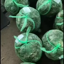 三两公