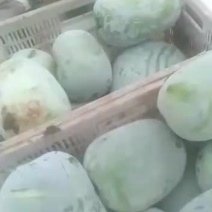 冬瓜，一串玲，粉宝、大冬瓜