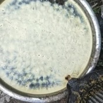 蜂蜡，赘脾蜡，纯蜂蜡，今年的新蜡大量出货了。
