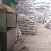 苦荞枕苦荞壳大凉山