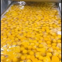 盒装鲜面包山东发货，一盒1.4kg，12个面包
