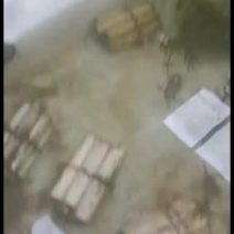 刺鳅鱼苗，，刀鳅鱼苗，养殖经济效益高，免费指导养殖技术