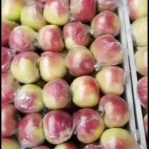 美国八号苹果口感脆甜