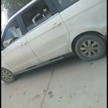 黑皮冬瓜人冬瓜超大冬瓜