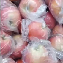 嘎啦苹果，果脆质甜，早熟苹果糸列