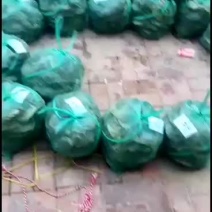 大闸蟹规格齐全，蟹礼预订礼包，礼盒辅材