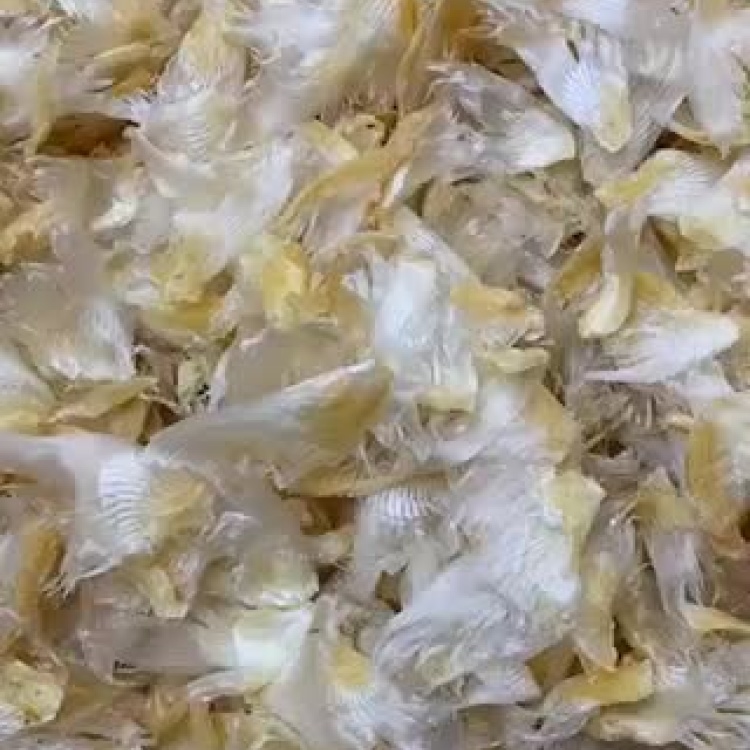 [鱼翅批发]小鱼翅 鱼翅 小鲨翅 小乌羊骨翅 金勾翅 胶质糯香价格280.