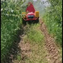 果园管理机履带遥控打药机旋耕机