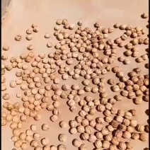 核桃，薄皮核桃有要的吗