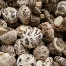 湖北椴木大花菇食用菌品项漂亮足干味道香批发代发礼盒送礼