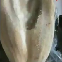 大量到开背鱼，一箱十条，十五斤