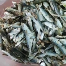 漳州市漳浦县六鳌鱼干