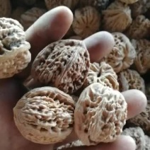 文玩核桃涿鹿南疆石狮子头