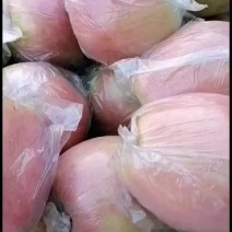 中秋王苹果现在上市了
