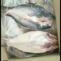 新到开背鱼，颜色新鲜，质量杠杠的，新出厂的，