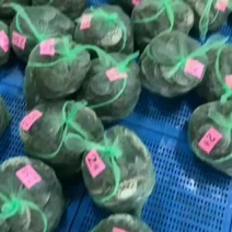 兴化大闸蟹大闸蟹鲜活全六月黄螃蟹活体河蟹鲜活