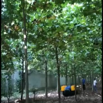 遥控田园微耕机履带开沟机