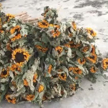 云南向日葵干花花束自然风干花艺
