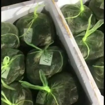 大量批发河蟹，各种规格，有公有母