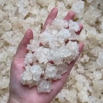 特上雪燕品相漂亮性价比高全白雪花批发代发送礼礼盒