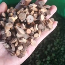广西玉林桂皮桂枝批发零售
