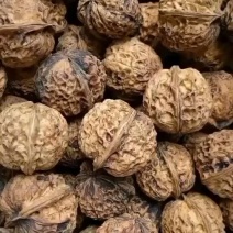 大麻子核桃个头大皮薄坚果干果批发代发送礼礼盒