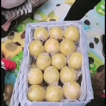 雪花梨涨价了，赶紧联系！