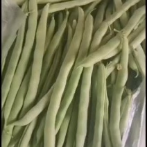 刚下来的架豆角需要的联系
