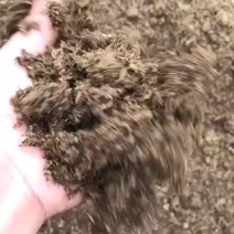 发酵牛粪奶牛粪有机肥蔬菜果树直接用