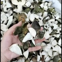 陈皮新干陈皮三开新货青皮2022年青皮